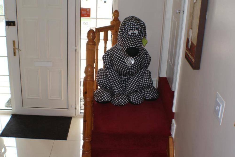 Eske Villa Bed And Breakfast Donegal Town Екстер'єр фото